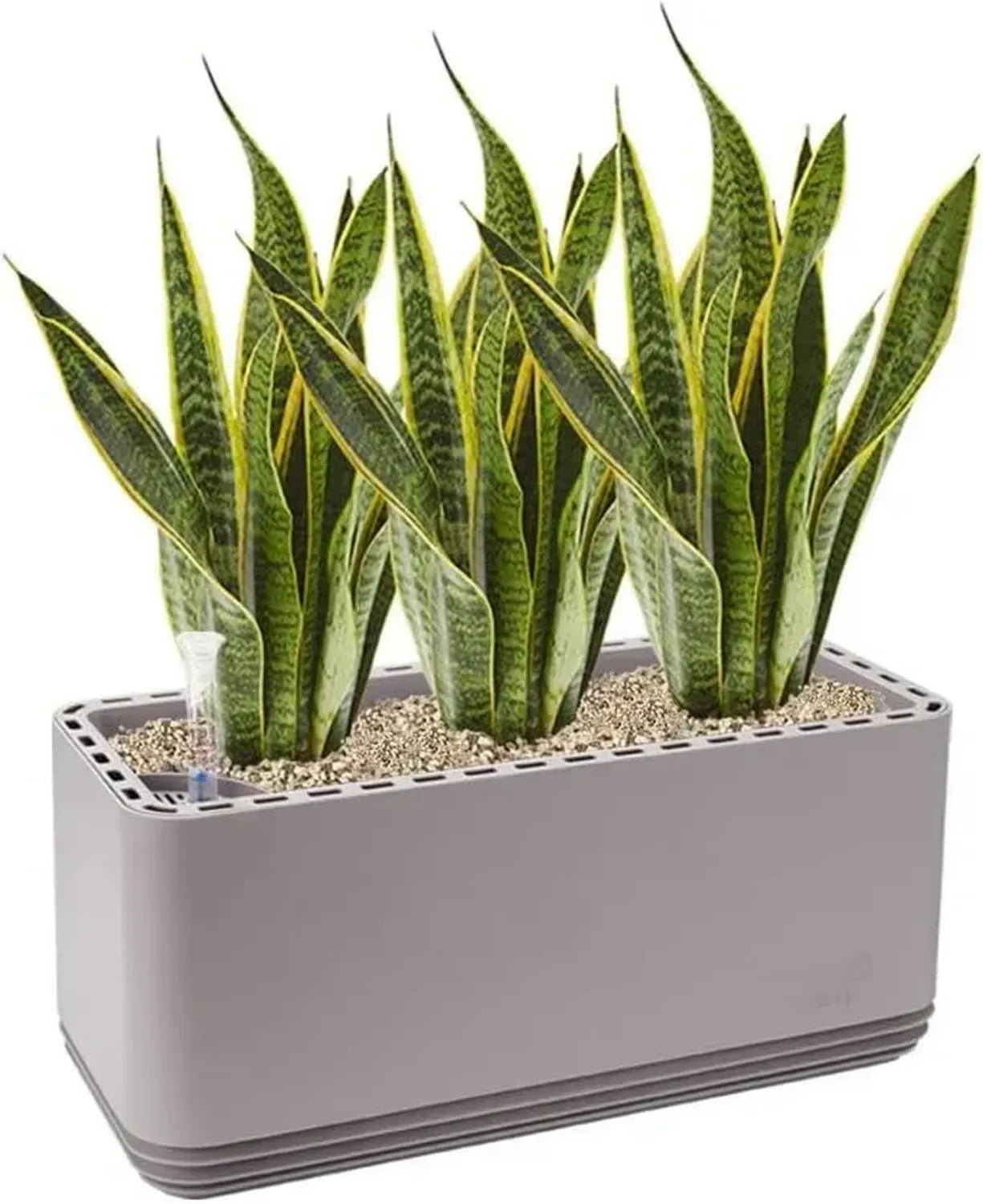 AIRY System L mit 3 Bogenhanfen & Airy Base Substrat - Effektiver Luftreiniger gegen Schadstoffe und Gerüche - Ideal für Räume bis 30qm - Hergestellt in Deutschland, grau