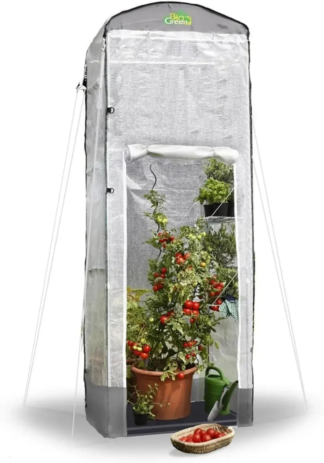 Bio Green Gewächshaus Patioflora 120 | Ganzjähriges Pflanzzelt für Terrasse & Garten | UV-beständig & mit 4 Lüftungsöffnungen | Großes Überwinterungszelt 120x120x300 cm