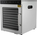 Edelstahl-Dörrgerät mit 10 Etagen, 800W, Gewerblich für Trockenfleisch, Kräuter, Obst und Gemüse, Silber-Schwarz